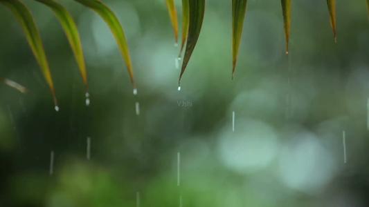 秋雨