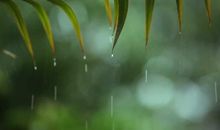 秋雨沥沥