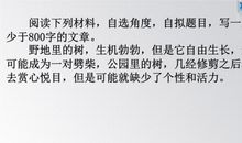 以高度为话题的议论文