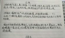 回忆是一种淡淡的痛读后感