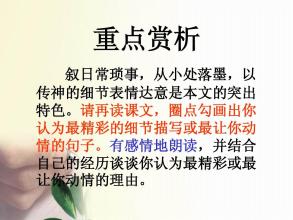 阅读“我不是一个好儿子”