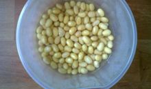 观察日记——发豆芽