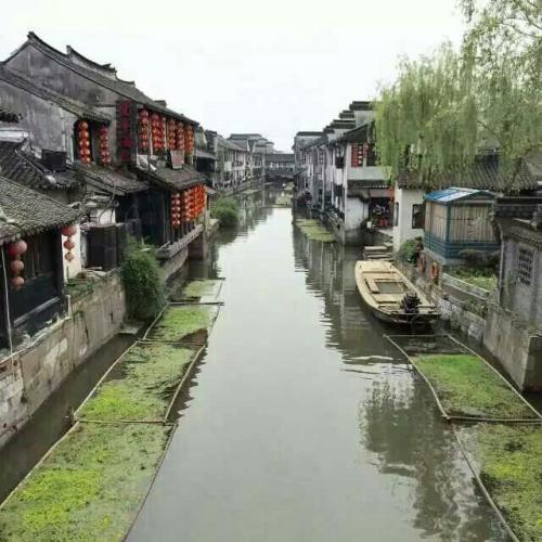 春天，我想
