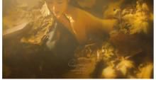 与梦想一起走过