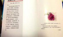 爱情与信仰——《此岸彼岸》书评