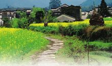 思念故乡的小路