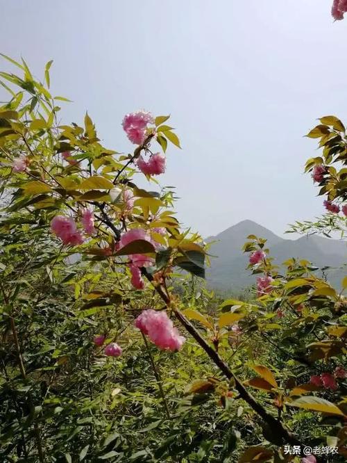 认识到生命的意义