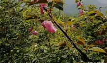 领悟生命的意义