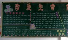 我歌唱宝贵的生命