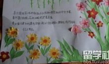 寻找那份属于我的温暖