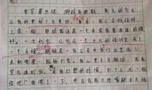 我看追星现象议论文作文