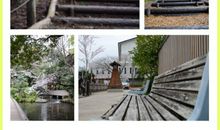 和你一起走过的路