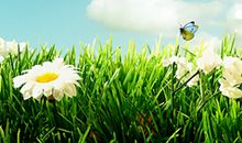 那一刻，我的心里春暖花开