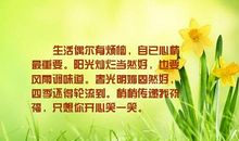 风雨过后，阳光依旧灿烂