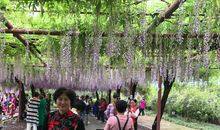 国学让我回味无穷