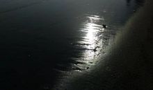 心中的那朵浪花