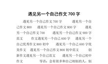 遇见另一个自己的作文