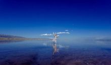 人生路上阳光多