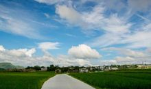 那段闪光的日子