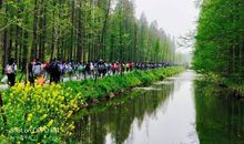 相约明媚的春光里