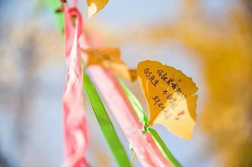 由于落叶而移动