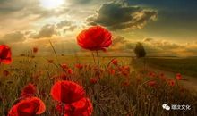 有一种幸福叫苦难