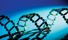 路上总有新发现