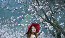 有一种情怀叫花开