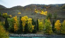 守住生命的美丽