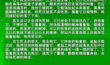 眼泪的重量作文