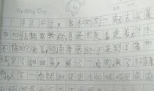 二年级买菜作文