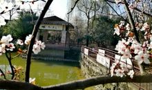 春天真让我着迷