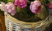 如果我能重回小学