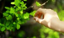 人一定会走过的路