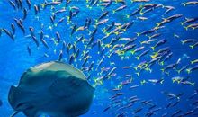 有一种流逝叫文明