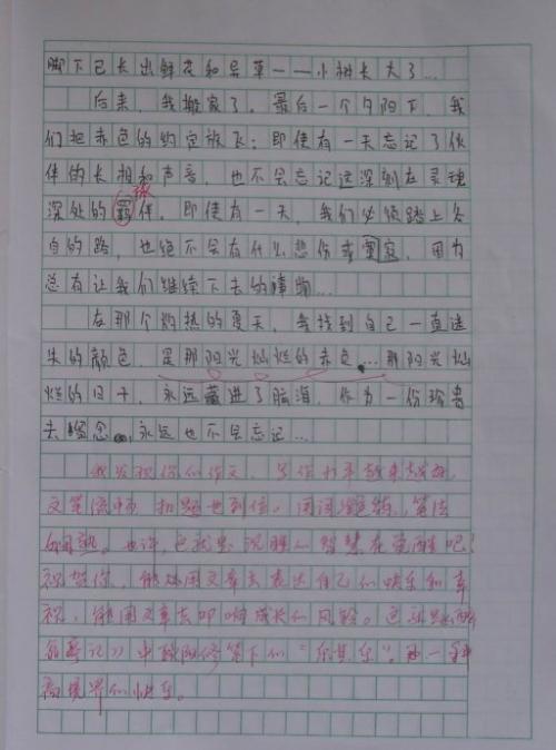 幸福彩色初中组成