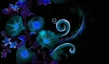 远方的你，还好吗？