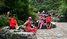 醉在南山天地间