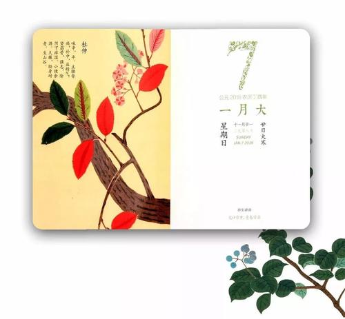 美丽的