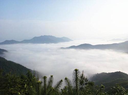 味道乡村