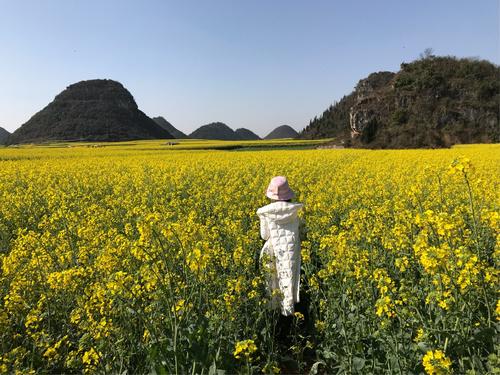 跟随春天