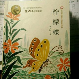 柠檬阅读