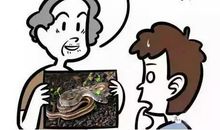 爷爷奶奶教会我诚实