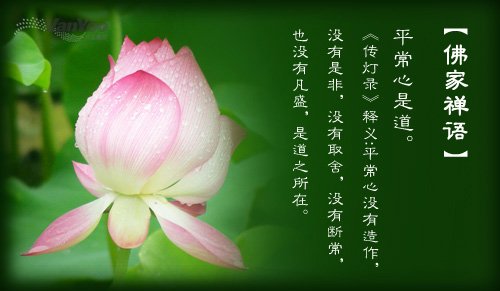 让感谢经常流动