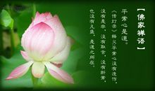 让感恩之花常开