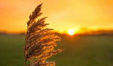 跌跌撞撞是人生