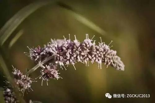 理解真的很好。