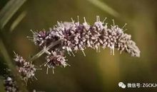 被理解的感觉，真好