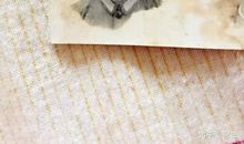 我与父爱的亲密接触