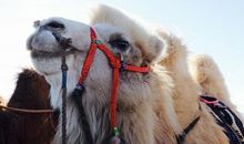 他，一个奉献着爱的人